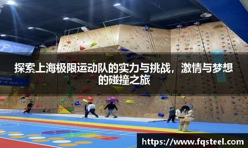 探索上海极限运动队的实力与挑战，激情与梦想的碰撞之旅